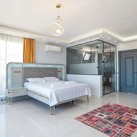 Cassa فيلة *